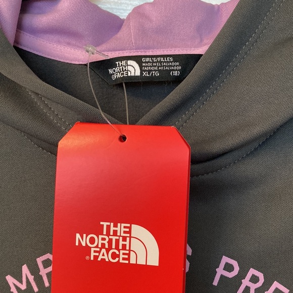 The North Face Hoodie Girls XL 18 Graphic “GLAMPING IS PRETTY IN TENTS” - Picture 4 of 8